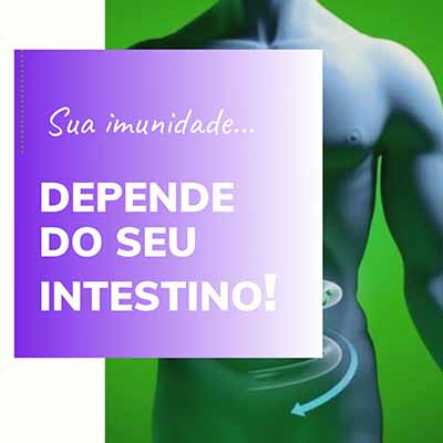 COVID-19: Sua imunidade depende do seu intestino