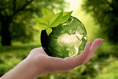 Alimentação sustentável